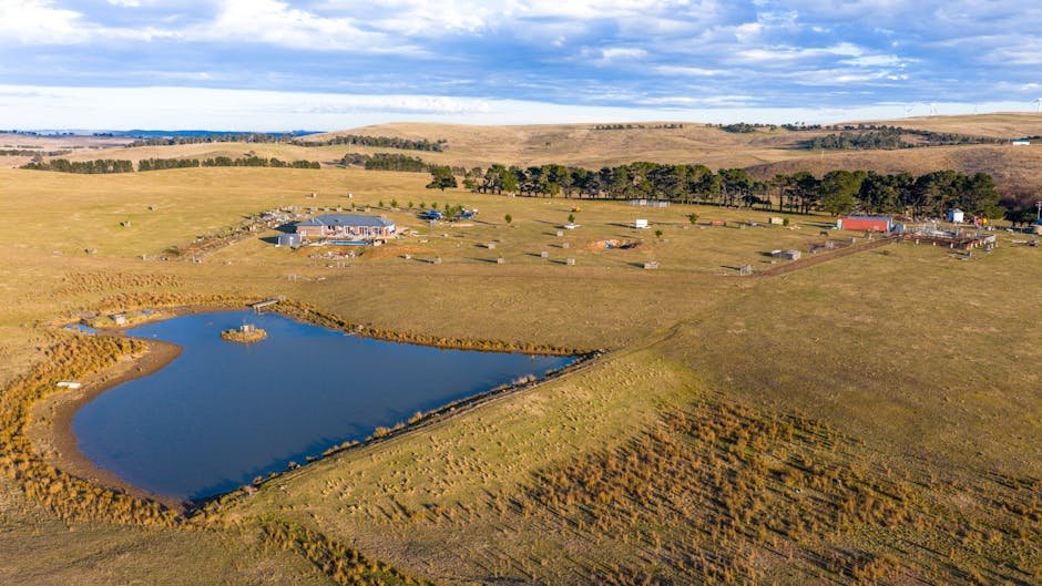 Bargain Base Yass: Your Scrap Metal Goldmine - bargain base yass