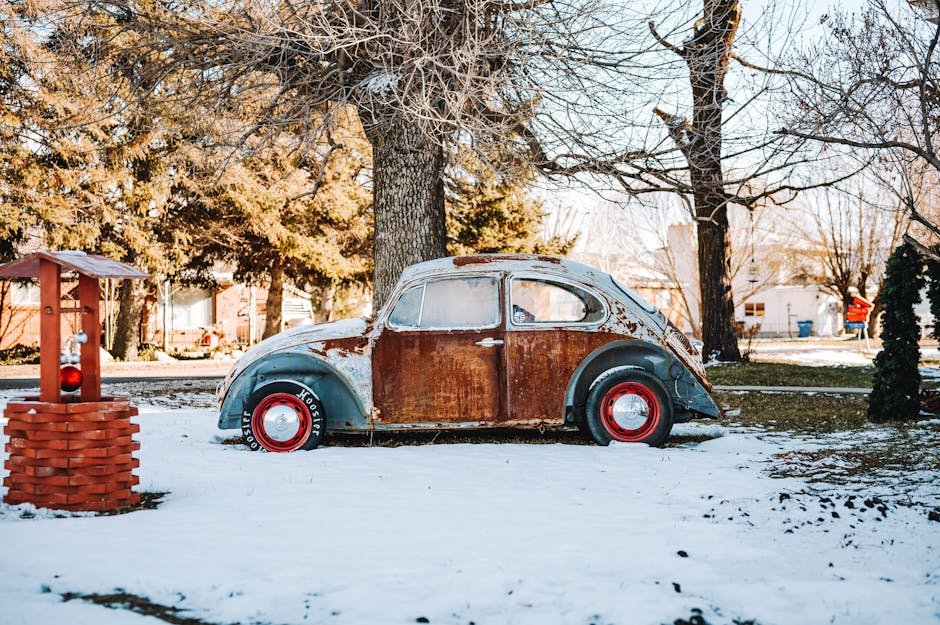 Cash for Cars Barren Grounds: Your Guide to Vehicle Recycling - cash for cars barren grounds