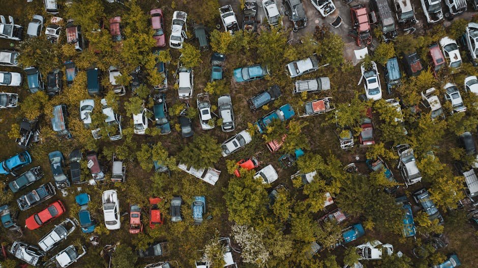 Cash For Cars Oakhampton Heights: The Ultimate Recycling Guide - cash for cars oakhampton heights