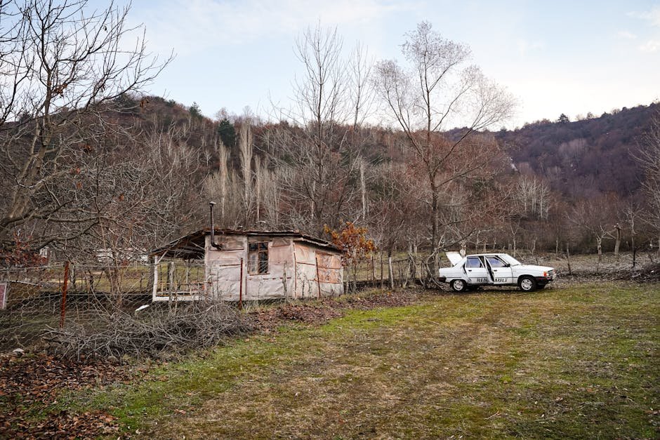 Cash For Cars Wildes Meadow: The Ultimate Vehicle Recycling Guide - cash for cars wildes meadow