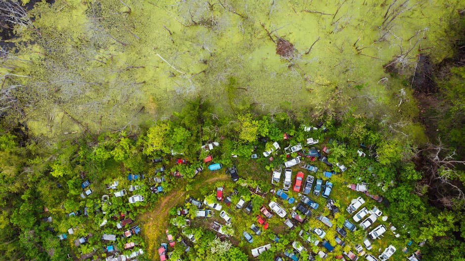 Cash for Old Car Bacchus Marsh: The Ultimate Recycling Guide - cash for old car bacchus marsh