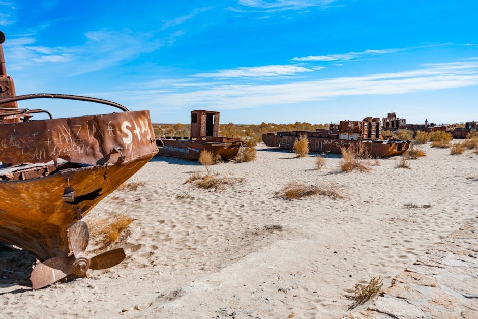 Central Coast Wreckers Tuggerah: The Ultimate Guide to Scrap - central coast wreckers tuggerah