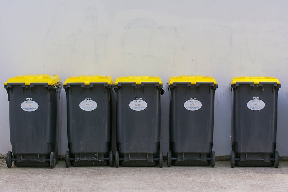 Sunshine Coast Waste Disposal: The Ultimate Guide to Recycling - sunshine coast waste disposal